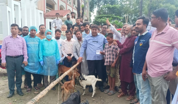 সুতিয়াখালিতে ফ্রি ভেটেরিনারি মেডিক্যাল ক্যাম্প ও চারা বিতরণ