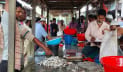 দুই ঘণ্টার বাজারে বিক্রি হয় ৩০ লাখ টাকার মাছ