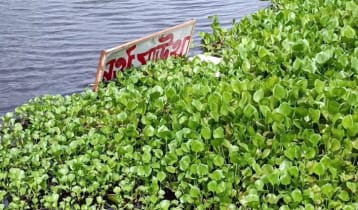 বেলাই বিল ভরাটে হাইকোর্টের স্থিতাবস্থা