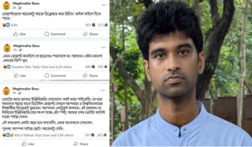 ‘মাইক হাইসে দিতে পারে’, ডাকসুর ফল নিয়ে কী বার্তা দিলেন মেঘমল্লার