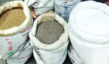 সার সিন্ডিকেটের যাঁতাকলে পিষ্ট বিরামপুরের কৃষক
