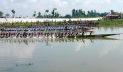 গাইবান্ধায় ২ দিনব্যাপী নৌকা বাইচ প্রতিযোগিতা শুরু