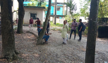 মাগুরায় টাকা চুরির অভিযোগে যুবককে পিটিয়ে হত্যা, আটক ৩