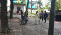 মাগুরায় টাকা চুরির অভিযোগে যুবককে পিটিয়ে হত্যা, আটক ৩