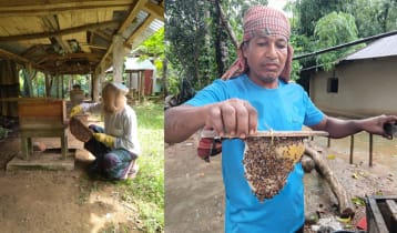 আব্দুল গফুরের হাত ধরে মৌলভীবাজারে মধু চাষের নিরব বিপ্লব