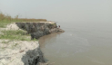 দুই মাসে পদ্মার পেটে ২০০ হেক্টর জমি