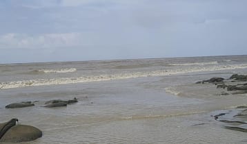 লঘুচাপের প্রভাবে বৃষ্টি, চার বন্দরে ৩ নম্বর সতর্কতা
