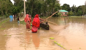 কমেছে তিস্তার পানি, দুর্ভোগে মানুষ
