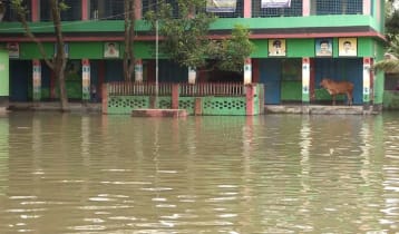 তিস্তা পাড়ের ২০ গ্রামের ১০ হাজার মানুষ পানিবন্দি