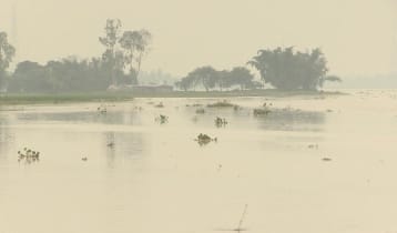 তিস্তার পানি বিপৎসীমার ওপরে, ভেসে গেছে মাছের খামার