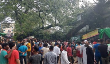 শতবর্ষী গাছ উপড়ে ভবনের ওপর, আহত ১