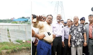 কৃষকদের ক্ষতি কমাতে সরকারিভাবে আলু ক্রয় করা হবে: কৃষি উপদেষ্টা