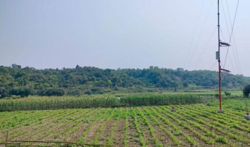নাইক্ষ্যংছড়ি সীমান্তের ওপারে গুলির শব্দ