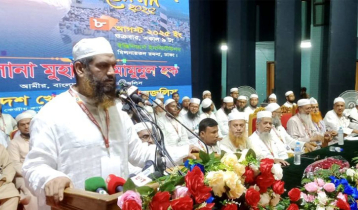 বিএনপির ভূমিকায় সংস্কারে ব্যর্থ অন্তর্বর্তী সরকার: মামুনুল হক