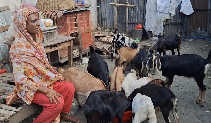 ‍‍ছাগল পালনে সাবলম্বী তৃতীয় লিঙ্গের ‍শিলা