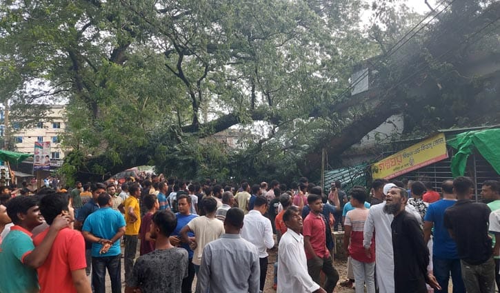 শতবর্ষী গাছ উপড়ে ভবনের ওপর, আহত ১