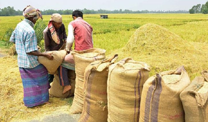 লক্ষ্যমাত্রার চেয়ে বেশি ধান-চাল সংগ্রহ করেছে সরকার