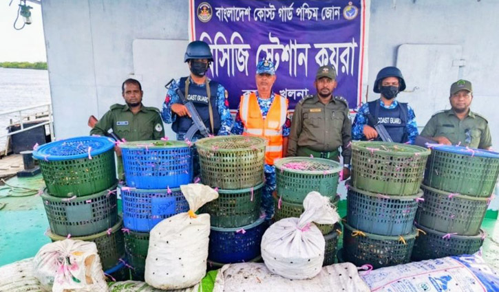 সুন্দরবনে বিশেষ অভিযানে ৮৫০ কেজি কাঁকড়া জব্দ 