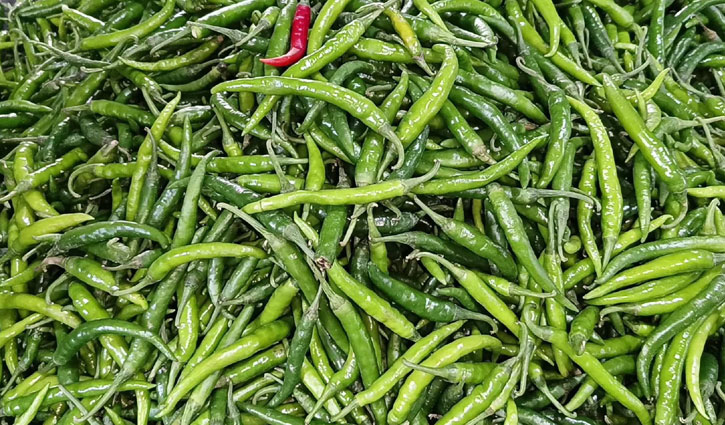 এক লাফে কাঁচা মরিচের দাম কমল ১৩০ টাকা