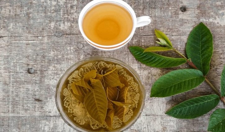 পেয়ারা পাতার রস যেসব ব্যথা কমাতে পারে