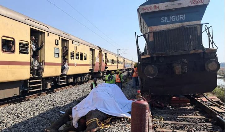 ভারতে ট্রেন দুর্ঘটনায় ৭ হাতির মৃত্যু