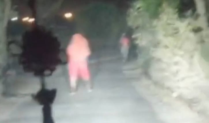 কুষ্টিয়ায় প্রাইভেটকার থামিয়ে ডাকাতি, ভিডিও ভাইরাল