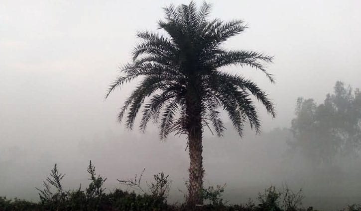 দিনাজপুরে ৮.৭ ডিগ্রিতে নেমেছে তাপমাত্রা