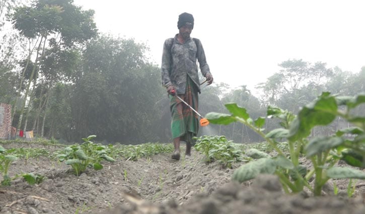 কুয়াশা ও হিমেল বাতাসে স্থবির উত্তরের জনজীবন