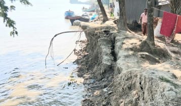 বরগুনায় ভাঙনের মুখে ২ কিলোমিটার বাঁধ