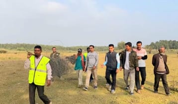 হাতির নিরাপত্তা নিশ্চিতে বনে অবৈধ বৈদ্যুতিক লাইন অপসারণ 