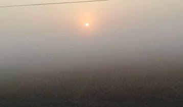 ঘন কুয়াশা-তীব্র শীতে পর্যুদস্ত পটুয়াখালী