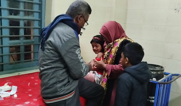 ঝিনাইদহে কুকুর-বিড়ালের কামড়ে আহত ৯, ভ্যাকসিন নেই হাসপাতালে