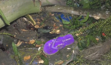 ছোট বোনকে কোলে নিয়ে গাছ কাটা দেখছিল, রাতে পাতার নিচে মিলল দুজনের লাশ