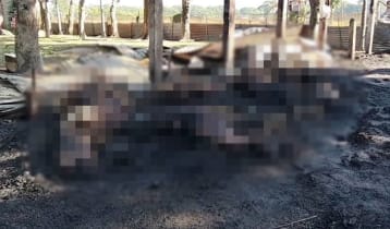 নেত্রকোণায় আগুনে পুড়ে মরল ২৯ ছাগল