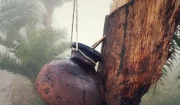 খেজুরের কাঁচা রস পানে মাদ্রাসা শিক্ষার্থীর মৃত্যুর অভিযোগ