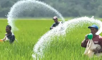 সৌদি আরব থেকে আমদানি হচ্ছে ৮০ হাজার টন ইউরিয়া