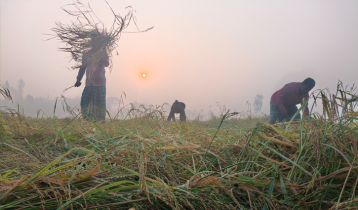 নওগাঁয় কনকনে ঠান্ডায় বিপর্যস্ত জনজীবন