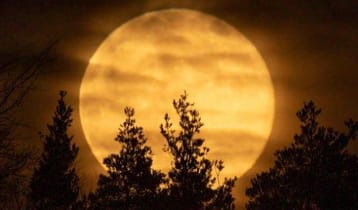 আজ সন্ধ্যার আকাশে উঠবে ২০২৬ সালের প্রথম ‘সুপারমুন’