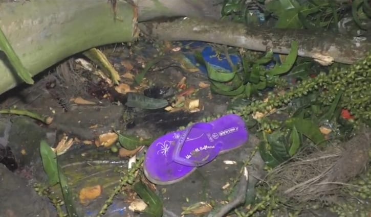 ছোট বোনকে কোলে নিয়ে গাছ কাটা দেখছিল, রাতে পাতার নিচে মিলল দুজনের লাশ