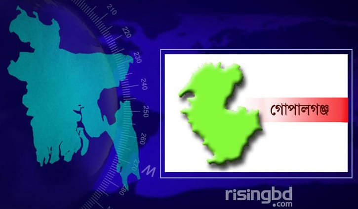 গোপালগঞ্জে পৃথক সড়ক দুর্ঘটনায় দুই ভ্যানচালক নিহত গোপালগঞ্জে পৃথক সড়ক দুর্ঘটনায় দুই ভ্যানচালক নিহত