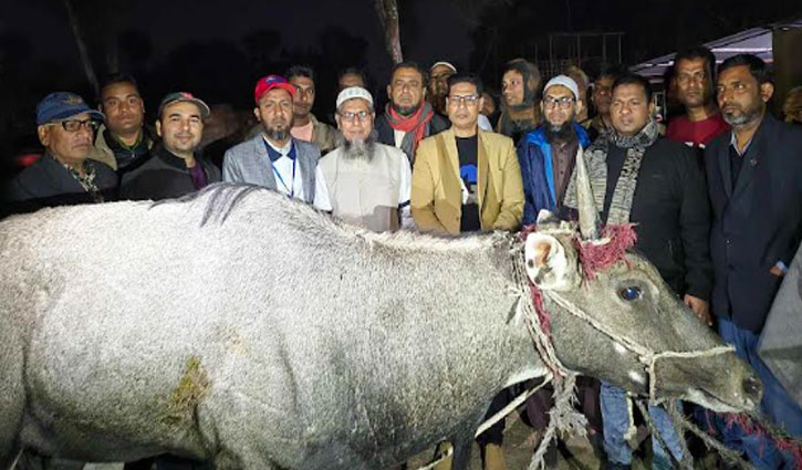 নাটোরে ‘বিলুপ্তপ্রায়’ নীলগাই উদ্ধার