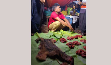 ফেনীতে শিয়ালের মাংস বিক্রি, ৬ মাসের কারাদণ্ড