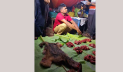 ফেনীতে শিয়ালের মাংস বিক্রি, ৬ মাসের কারাদণ্ড