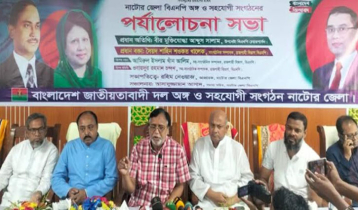 বিএনপির জন্ম হয়েছে গণতন্ত্র ও স্বাধীনতা রক্ষার জন্য: সালাম