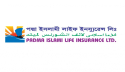 কারণ ছাড়াই বাড়ছে পদ্মা ইসলামী লাইফ ইন্স্যুরেন্সের শেয়ারদর