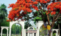 মহানবী (সা.) কে নিয়ে কটূক্তি, ইবি কর্মকর্তা বরখাস্ত