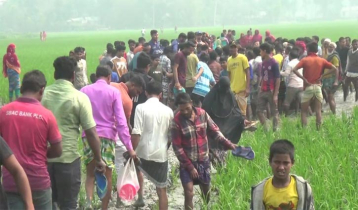 কুড়িগ্রামে ধানক্ষেত থেকে অটোরিকশাচালকের মরদেহ উদ্ধার