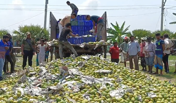সাতক্ষীরায় রাসায়নিক মিশ্রিত ৮৫০০ কেজি আম জব্দ