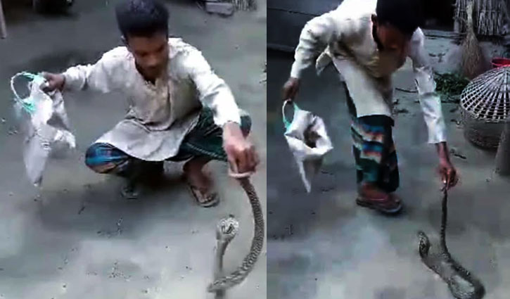 দিনাজপুরে সাপের কামড়ে সাপুড়ের মৃত্যু