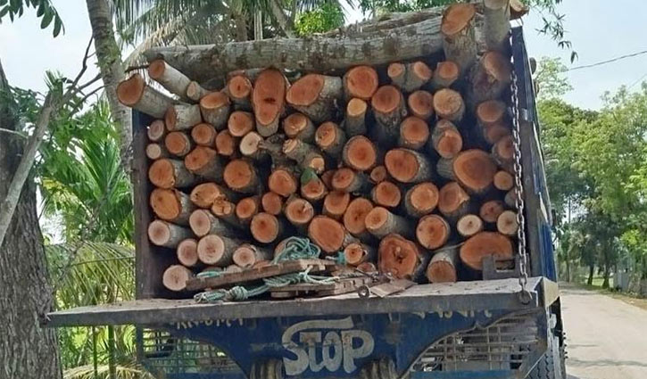 ইউপি চেয়ারম্যানসহ ১৩ জনের বিরুদ্ধে মামলা